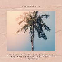 summer ibiza music maldives