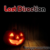 Lost Direction