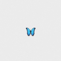 Wyspy