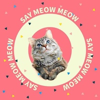 Say Meow Meow