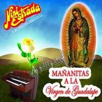 La Guadalupana (Desde el Cielo)