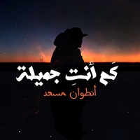 Kam Anti Jamila