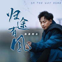 归途有风 - DJ阿卓版