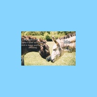 HEART DONKEY
