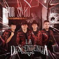 Por Si No Regresas