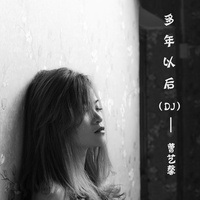多年以后 - Dj何鹏版