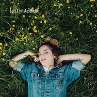 Lofi Chill Aesthetic