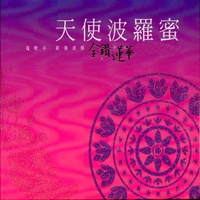 觀音菩薩鑽