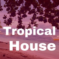 Tropical BGM with a refreshing and gentle tone(867546)