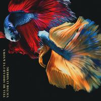 Tell Me Should I’ve Known - Instrumental Version