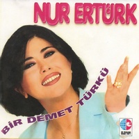 Yoğurt Koydum Dolaba