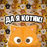 Бездомный кот