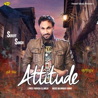 Attitude