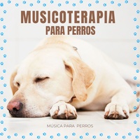 Cancion para mi perro