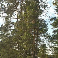 FI3AC2140010