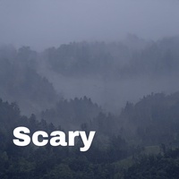 Sound image
