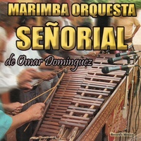 La Tortuga Del Arenal