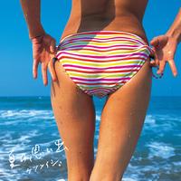 夏の思い出(サビ)