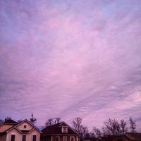 lilac days