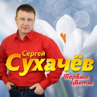 Две снежинки