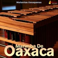 Mujer Oaxaqueña
