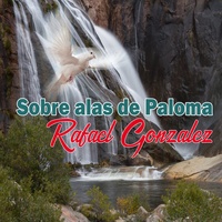 Soy Bautizado Como Manda el Salvador