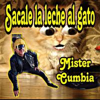 Sacale La Leche Al Gato