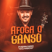 Afoga o Ganso