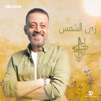 Zay El-Shams