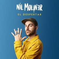 Soldadito de Hierro