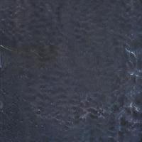 Exultant Motion