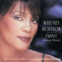 It Isn't, It Wasn't, It Ain't Never Gonna Be (with Whitney Houston) (Album Edit)