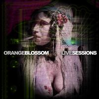 Ya Sîdi - Blossom Live Sessions