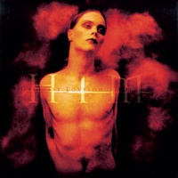 When Love and Death Embrace