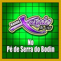 Solado de Sanfona 1 - BANDA XAXADO