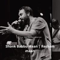 Shonk Babbu Maan