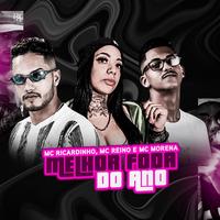 Melhor Foda do Ano (feat. Mc Morena) - Brega Funk