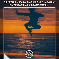 Dj Istilah Kata Ane Habib Jindan X Ente Kadang Kadang Viral