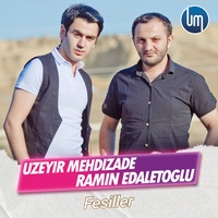 Fesiller