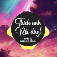 Thích Anh Rồi Đấy (Đại Mèo Remix)