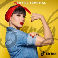 Zay El Temsal