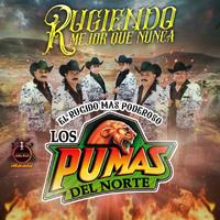 Te Piso el Rabo Culebra - Matecaña Sureña