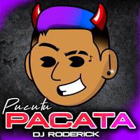 Pucutu Pacata (Guaracha Aleteo)