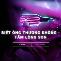 Biết Ông Thương Không - Tấm Lòng Son (Đại Mèo Remix