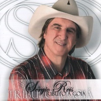 Saudade de Minha Terra