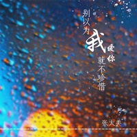 别以为我爱你就不珍惜-张大美