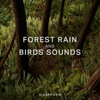 Rain Sounds with Birds