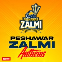 Zalmi Tarana