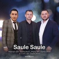 Saule Saule