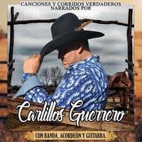 Palomas Que Andan Volando